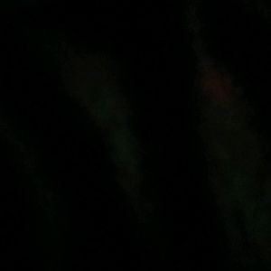 Meet your Posher, Terminated